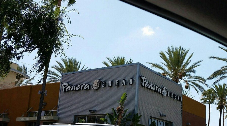 https://d3n2401vhvcfv5.cloudfront.net/_images/company/Panera Bread/1736806037292-panera-at-the-village.jpg